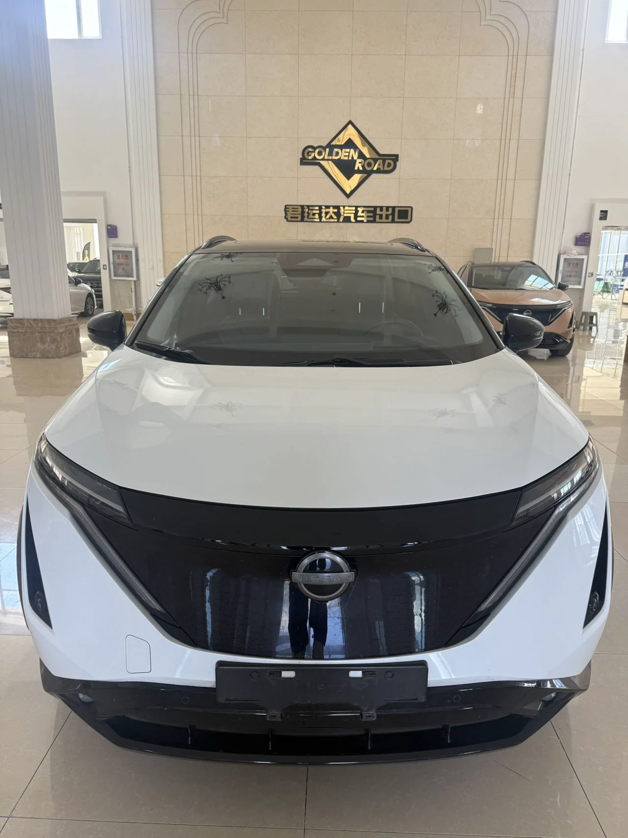 Nissan Ariya 2022